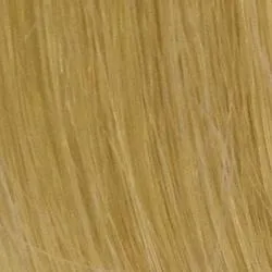 14" Human Hair Extensions by Raquel Welch (10 Piece) | CLOSEOUT | FINAL MARKDOWN
