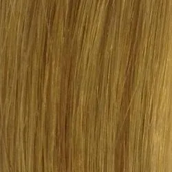 14" Human Hair Extensions by Raquel Welch (10 Piece) | CLOSEOUT | FINAL MARKDOWN