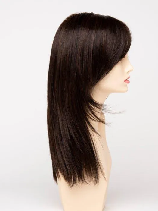 Ava | Lace Front Human Hair/ Synthetic Blend Wig