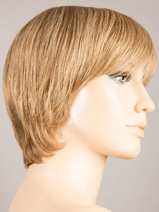 Award | Remy Human Hair Lace Front Wig (Hand-Tied)