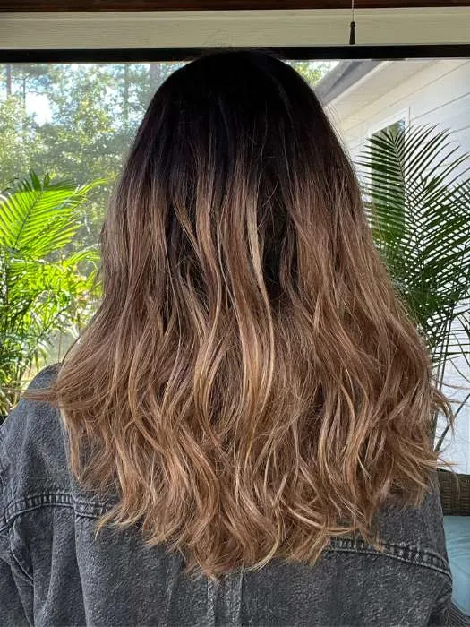 Balayage Beauty | Synthetic Lace Front Wig (Mono Top)