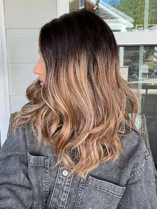 Balayage Beauty | Synthetic Lace Front Wig (Mono Top)