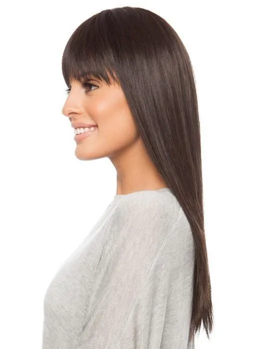 Cher | Long Synthetic Wig (Mono Crown)