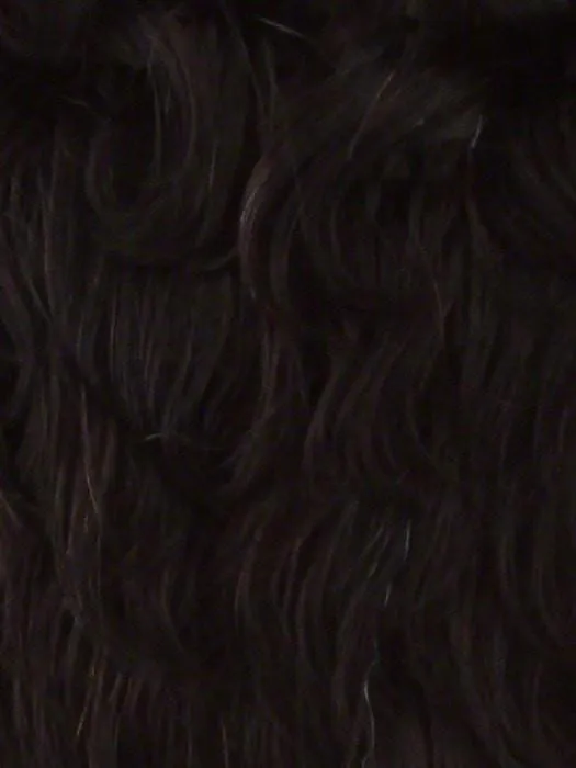 Chilli | Synthetic Lace Front Wig (Basic Cap)