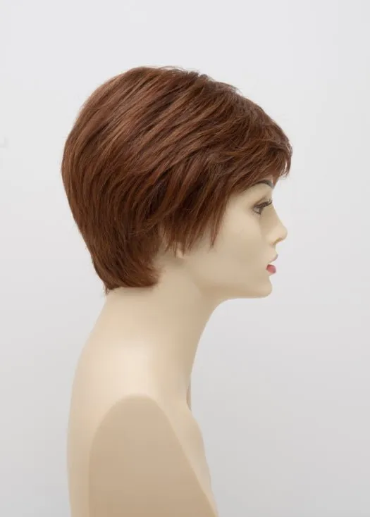 Destiny | Human Hair/ Synthetic Blend Wig (Mono Top)