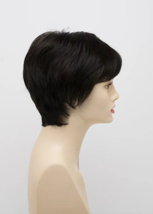 Destiny | Human Hair/ Synthetic Blend Wig (Mono Top)