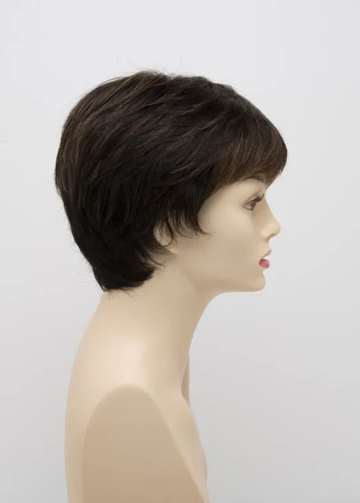 Destiny | Human Hair/ Synthetic Blend Wig (Mono Top)