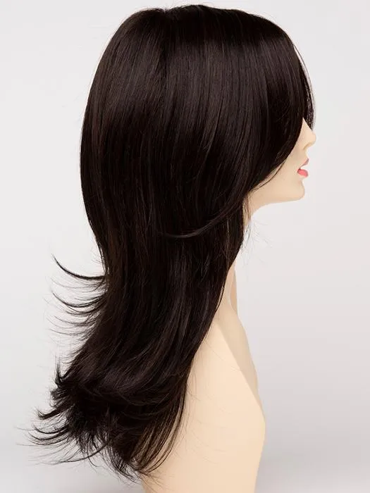 Erica | Human Hair / Synthetic Blend Lace Front Wig (Mono Top)