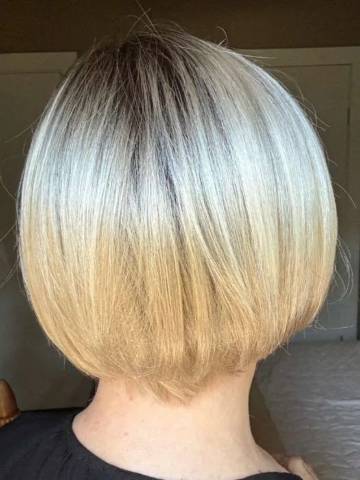 Eve | Synthetic Lace Front Wig (Mono Part)