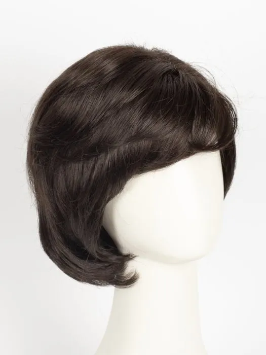 Hillary | Synthetic Lace Front Wig (Basic Cap)
