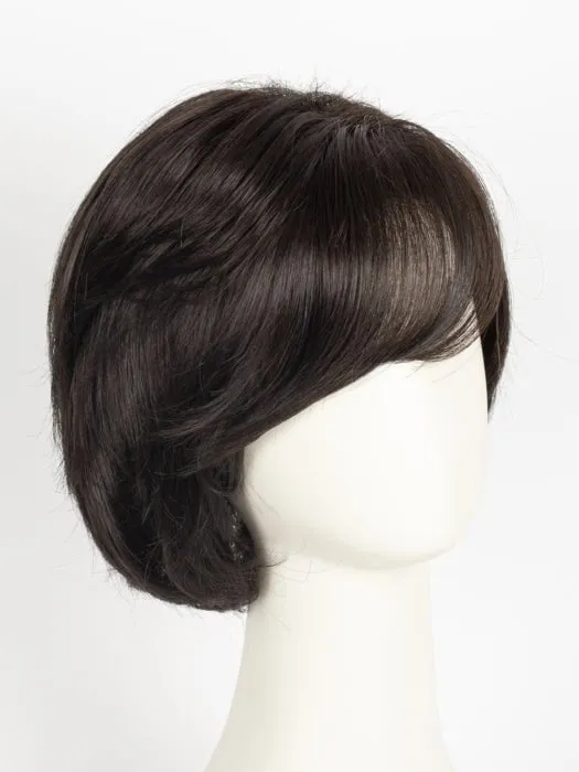 Hillary | Synthetic Lace Front Wig (Basic Cap)