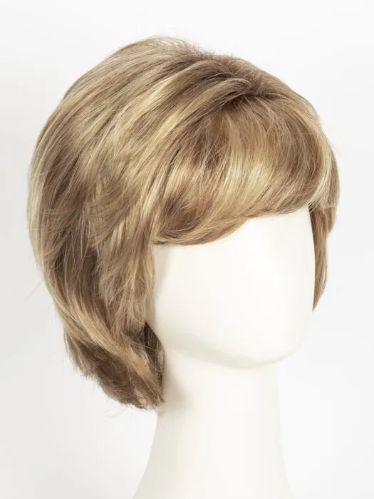 Hillary | Synthetic Lace Front Wig (Basic Cap)