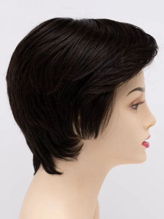 Paula | Human Hair/Synthetic Hair Blend Lace Front Wig (Mono Top)