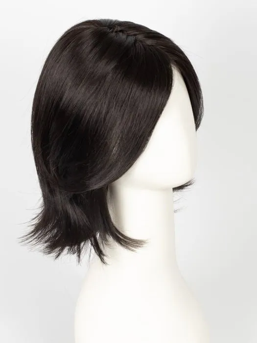Play it Straight | Synthetic Lace Front Wig (Mono Part)