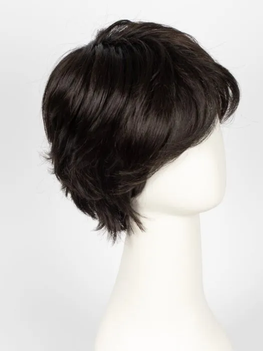 Raise | Synthetic Lace Front Wig