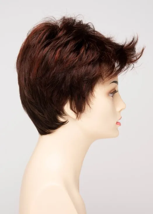 Raven | Synthetic Lace Front Wig (Basic Cap)