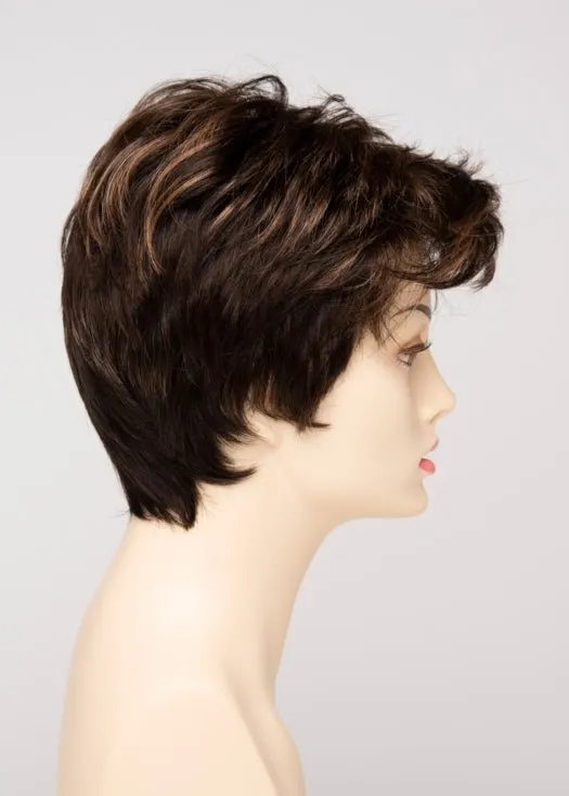 Raven | Synthetic Lace Front Wig (Basic Cap)