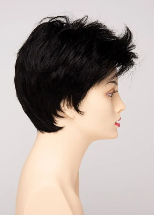 Raven | Synthetic Lace Front Wig (Basic Cap)