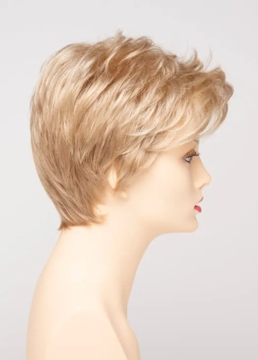 Raven | Synthetic Lace Front Wig (Basic Cap)