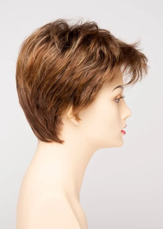 Raven | Synthetic Lace Front Wig (Basic Cap)