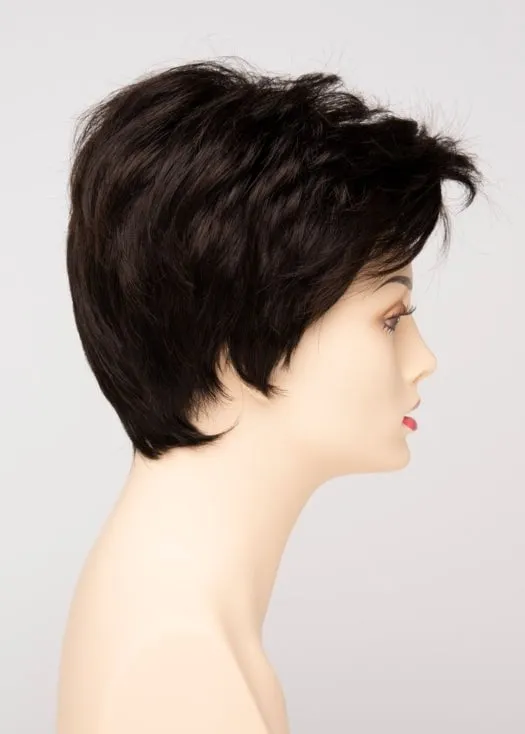 Raven | Synthetic Lace Front Wig (Basic Cap)