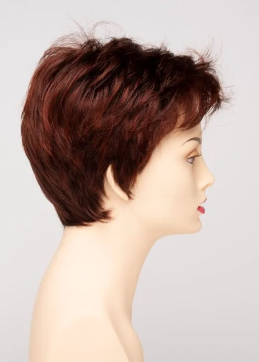 Raven | Synthetic Lace Front Wig (Basic Cap)