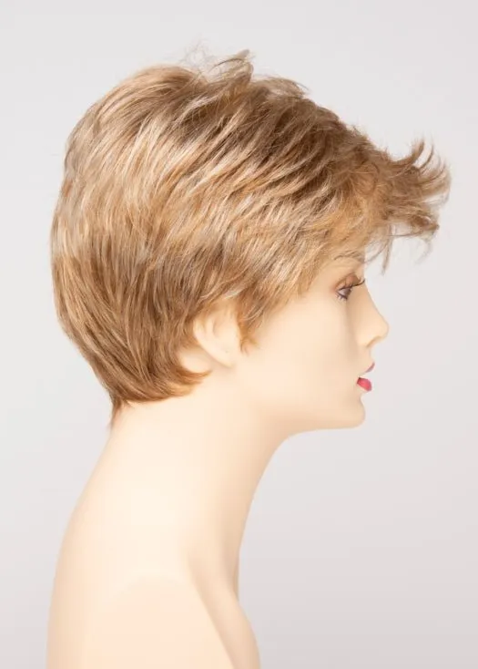Raven | Synthetic Lace Front Wig (Basic Cap)