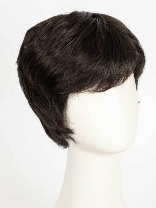 Risk Comfort | Short Synthetic Lace Front Wig