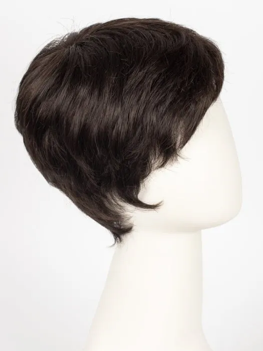 Risk | Synthetic Lace Front Wig (Mono Crown)