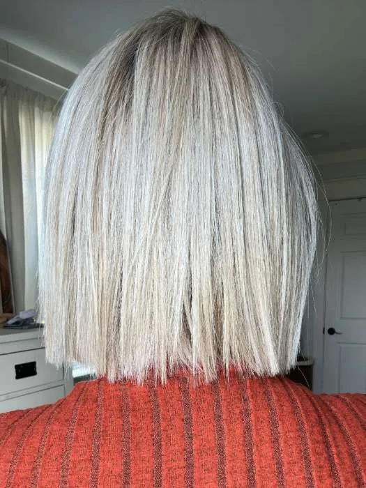 Santa Monica | Synthetic Lace Front Wig (Mono Part)