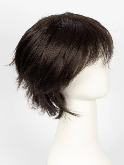 Sky Large | Synthetic Wig (Basic Cap)