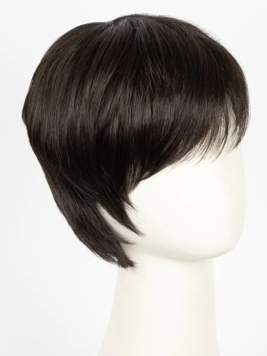 Tool | Short Synthetic Wig (Mono Crown)