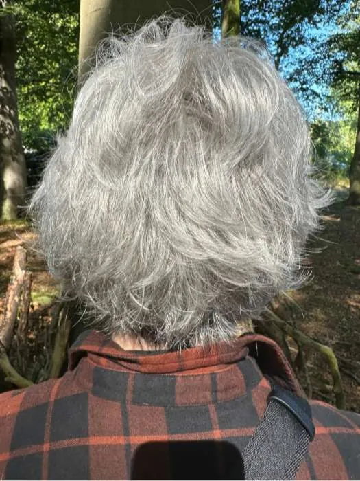 Voltage | Synthetic Wig (Basic Cap)